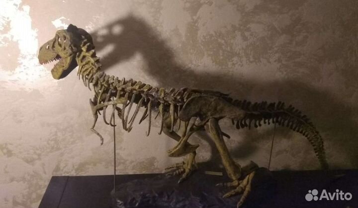 Тираннозавр Рекс