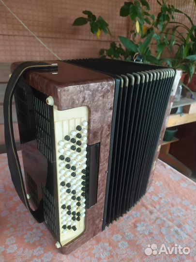 Баян юность-2