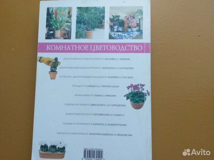 Комнатные растения