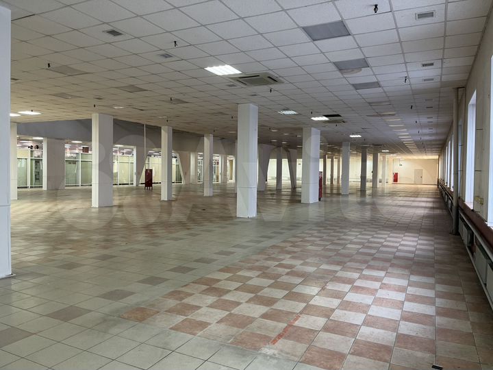 Торговая площадь, от 10 до 2000 м²