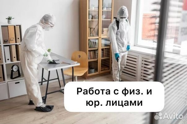 Уничтожим всех грызунов