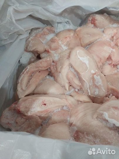 Продажа мяса и рыбы оптом