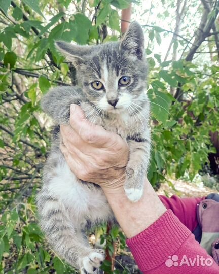 Спасите малыша