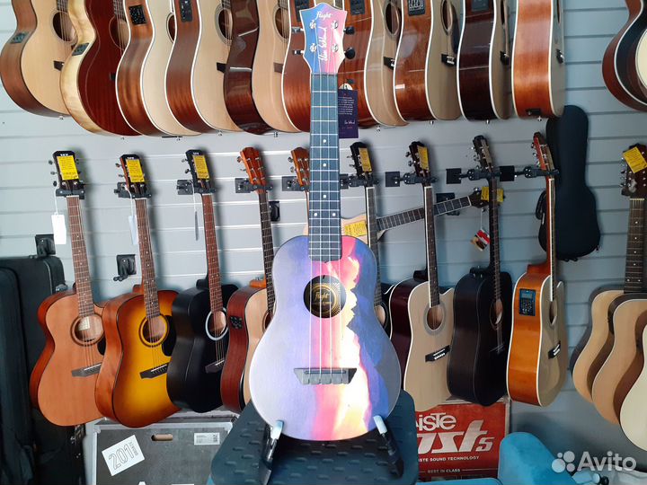 Укулеле flight концерт