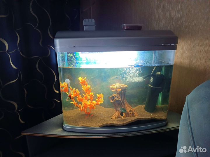 Аквариум