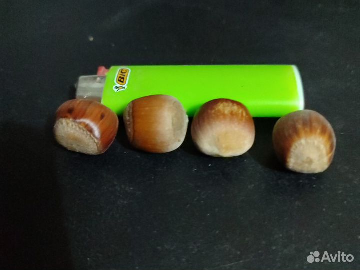 Фундук 2023 самовывоз,30кг.Обмен на сахар, торг