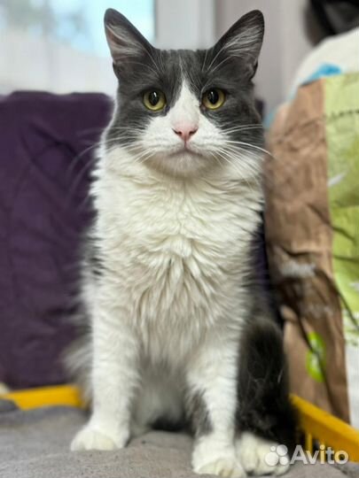 Марусенька