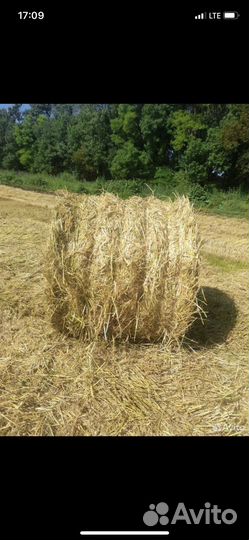 Солома в рулонах 2023