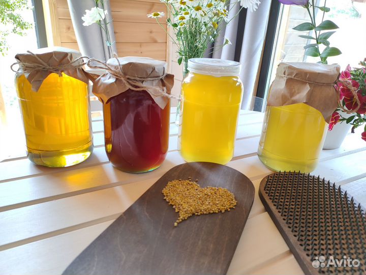 Мёд Алтайский пыльца прополис перга 2023 Тмн