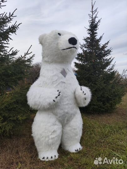 Праздники мероприятия