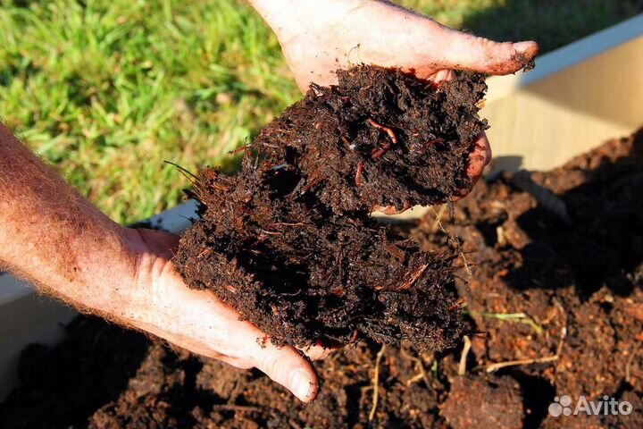 Торфосмесь(касимов)