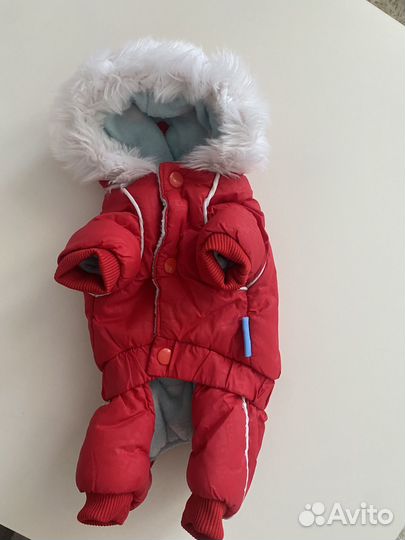 Костюм для собаки