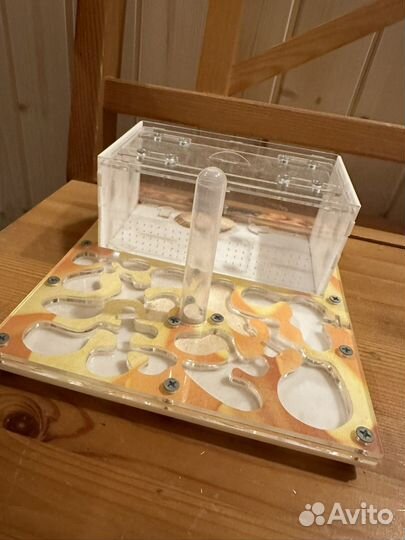 Муравьиная ферма без муравьев