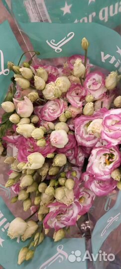 Эустома, лизиантус, пышный букет 1 сентября