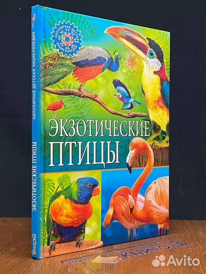 Экзотические птицы