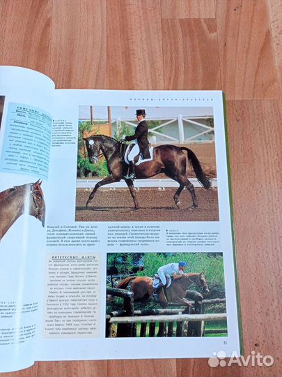 Подарочная книга про лошадей