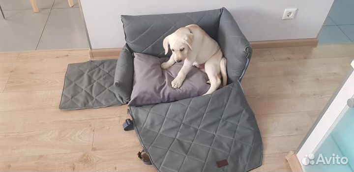 Автокресло для собак