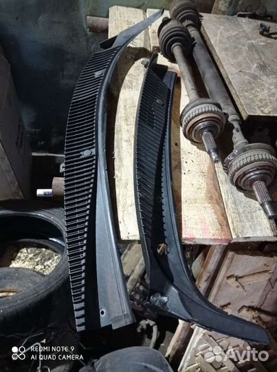 Жабо калина 1