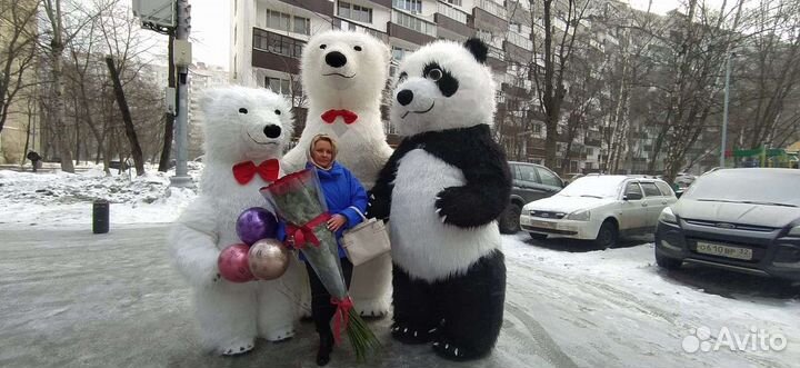 Белый мишка, панда поздравление