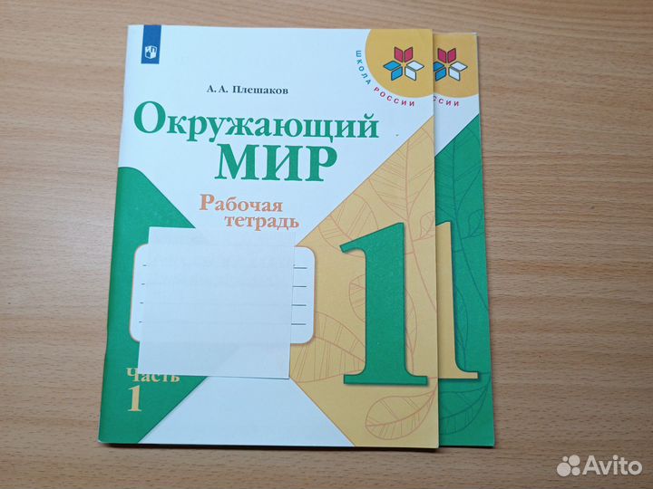 Окружающий мир 1класс, Плешаков. рабочая тетрадь