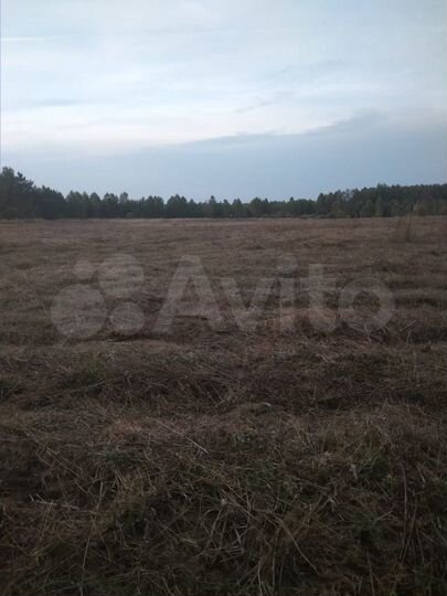 Участок 5,6 га (СНТ, ДНП)