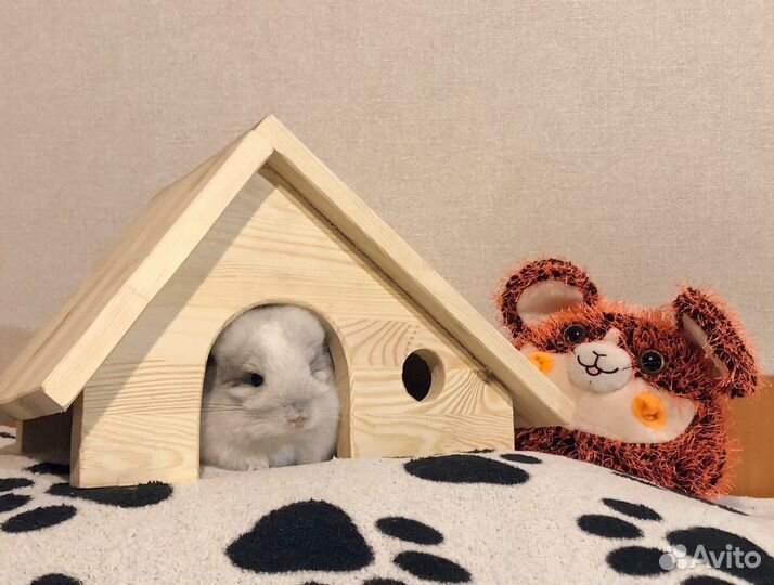Домик для грызунов