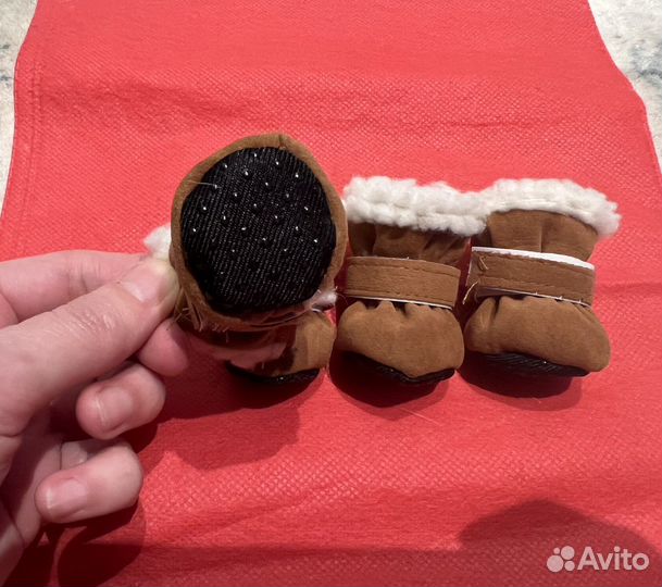 Обувь для маленьких собак