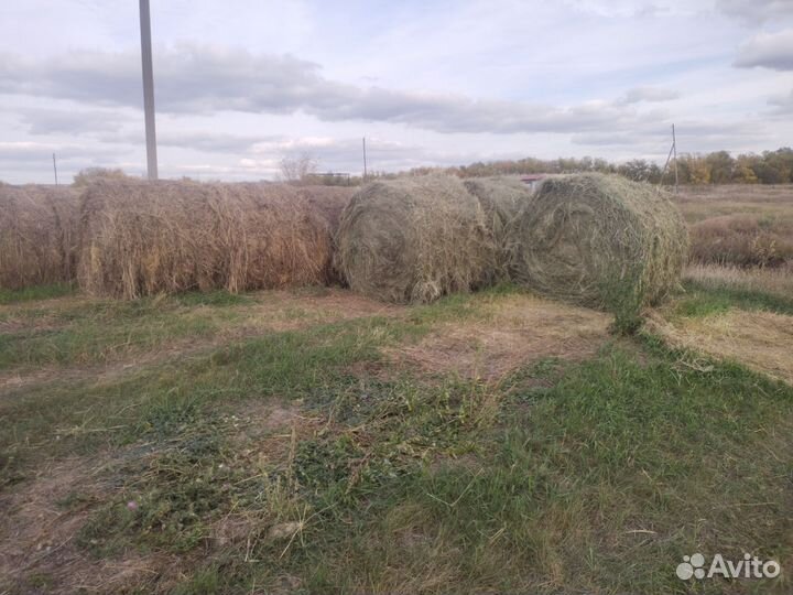 Сено и солома в рулонах