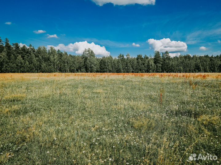 Постой для лошадей