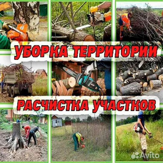 Спиливание И корчевка деревьев