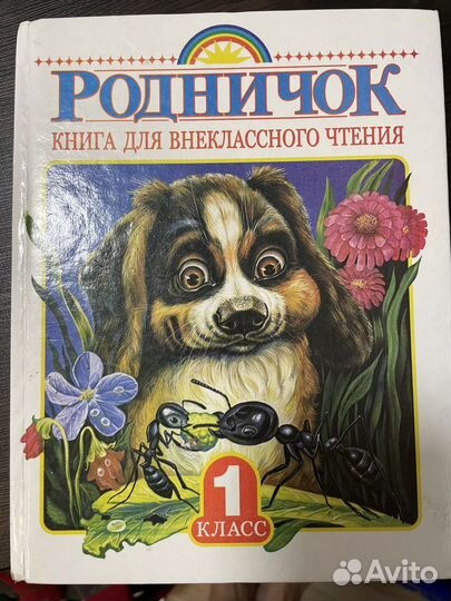 Родничок 1 класс