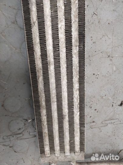 Радиатор масляный Audi Q7, 2007