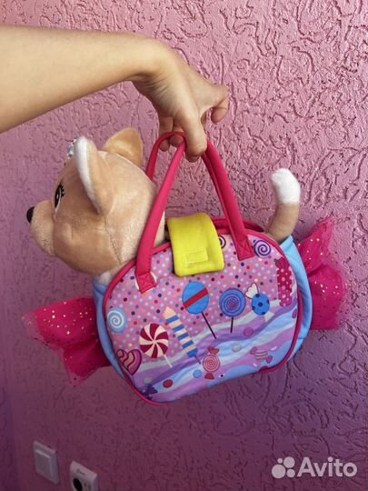 Собака чичи лав