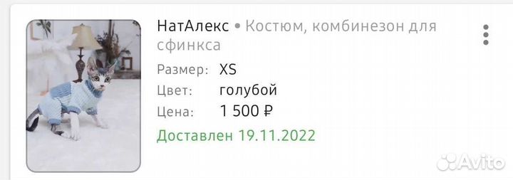 Одежда для котят