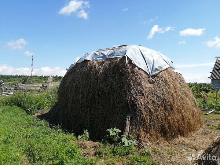 Продам сено лесное