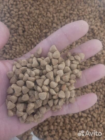 Корм для кошек и собак