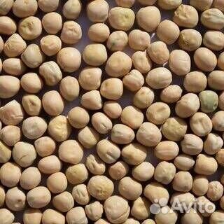 Продам горох