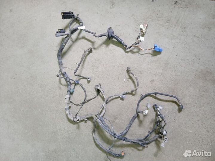 Проводка двигателя Nissan Almera classic B10