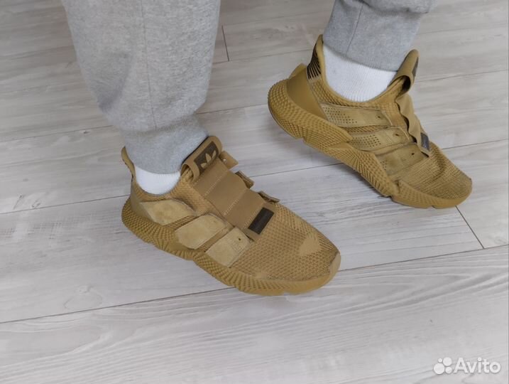 Adidas Prophere Original кроссовки