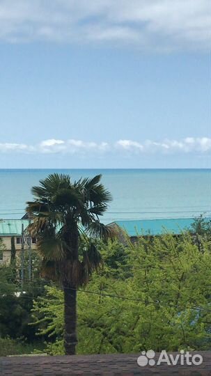 Отдых на черном море