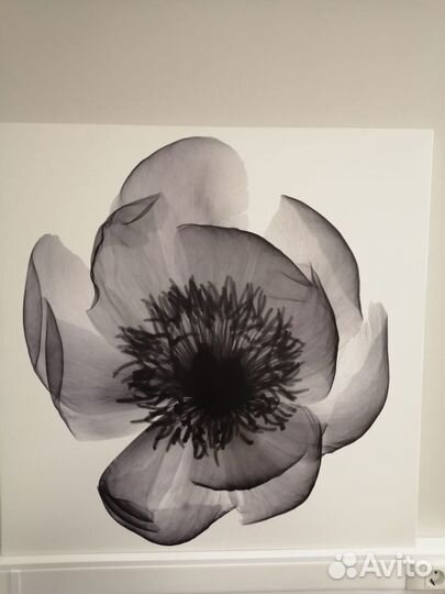 IKEA Постер Картина 