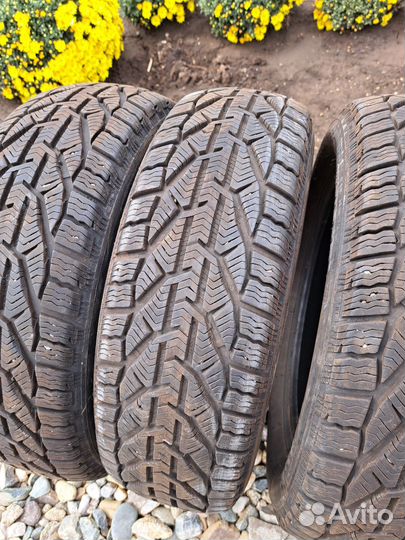 Tigar Winter 185/60 R15