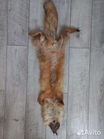 Лисья шкура