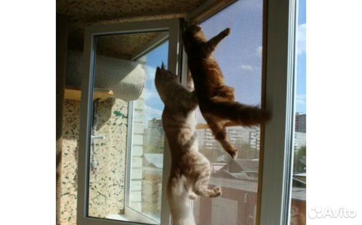 Москитные сетки / Новые / От производителя