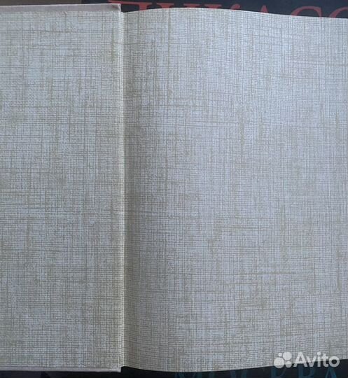 Наталья Кончаловская «Дар бесценный»