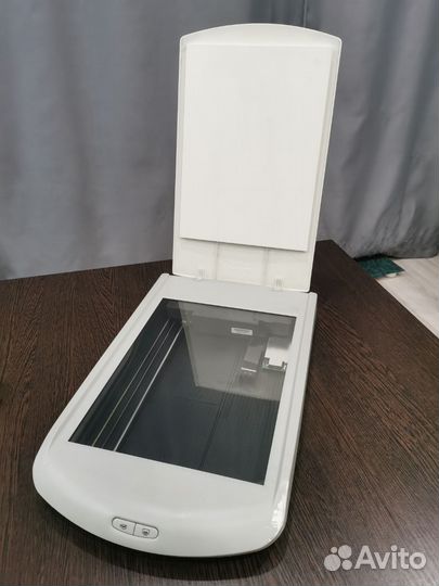 Сканер hp scanjet g2410