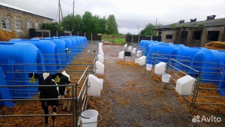 Индивидуальные домики для телят. Групповые домики