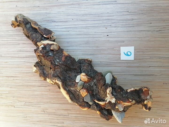 Коряга дрифтвуд с камнями