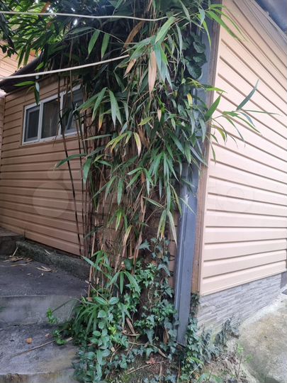 Комната 8 м², 1/1 эт.