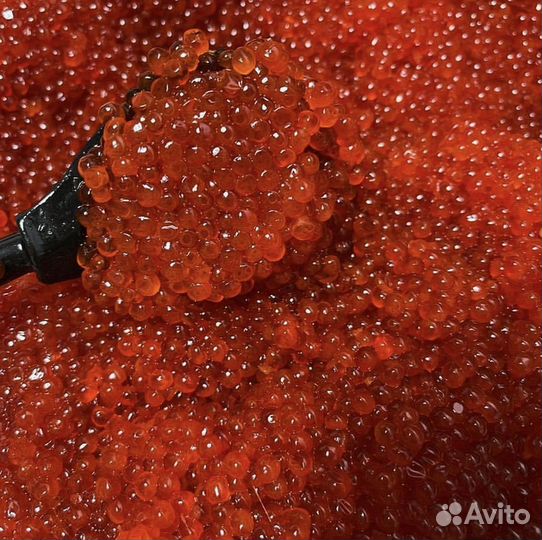 Красная икра Форель оптом 1000 г